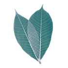 Kontakt - Pabst - Gesundheit Stärken