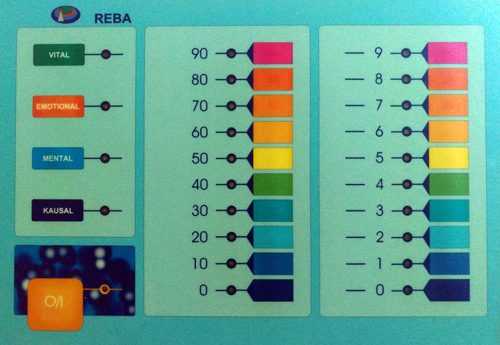 Naturheilverfahren - Psychosomatische Energetik - REBA-Testgräte